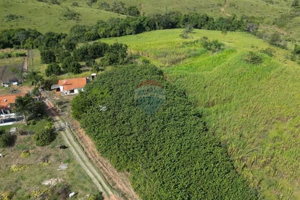 Chácara / Sítio / Fazenda - Venda - Itapira , São Paulo - IMG-20250713-WA0580.jpg - 690291085-364