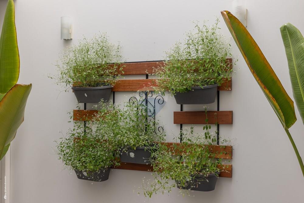 Casa de Condomínio - Venda - Vinhedo , São Paulo - TKD-14904.jpg - 690941043-58