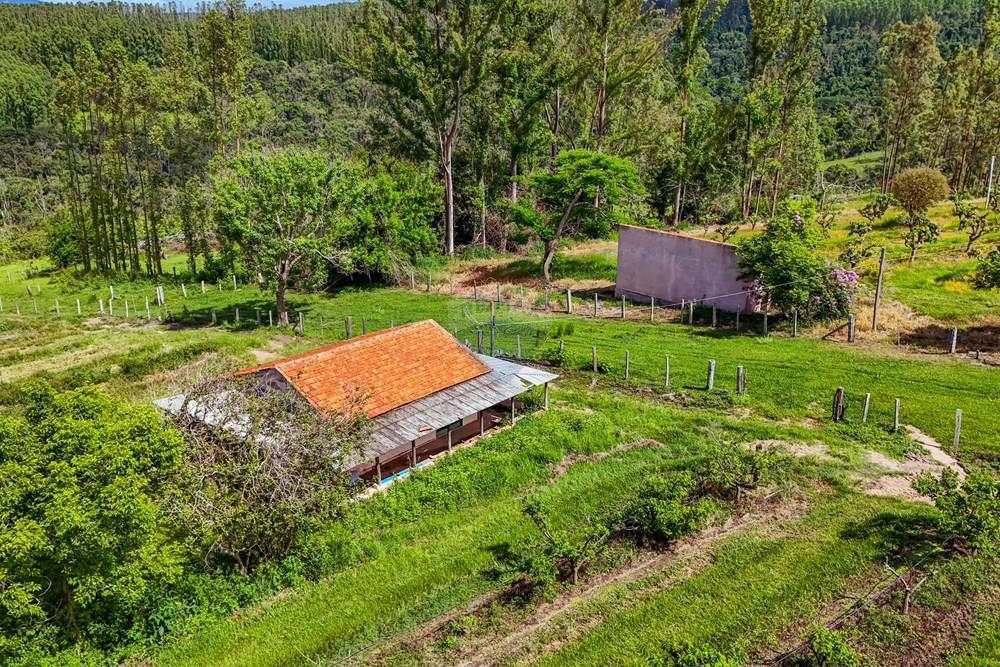 Fazenda - Venda - Analândia , São Paulo - Tratada - Drone-86.jpg - 690691016-305
