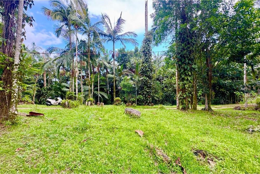 Terreno - Venda - Peruíbe , São Paulo - WhatsApp Image 2026-01-15 at 14.40.40 (1).jpeg - 691111009-61