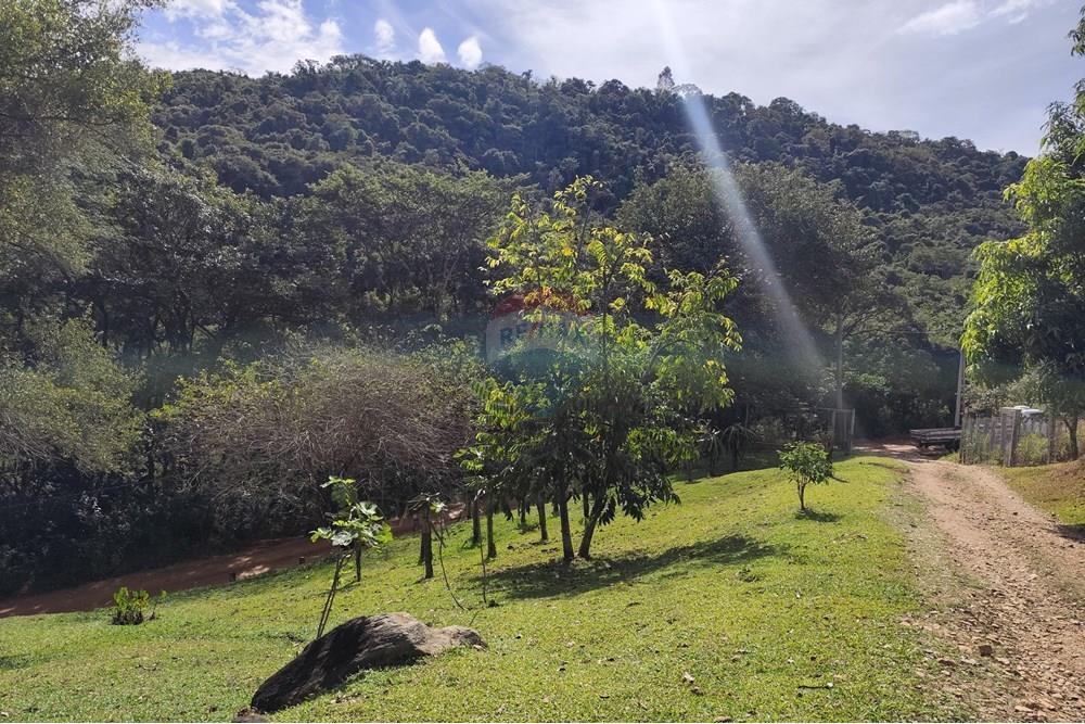 Chácara / Sítio / Fazenda - Venda - Itapira , São Paulo - 1751510168937.jpg - 690291085-364