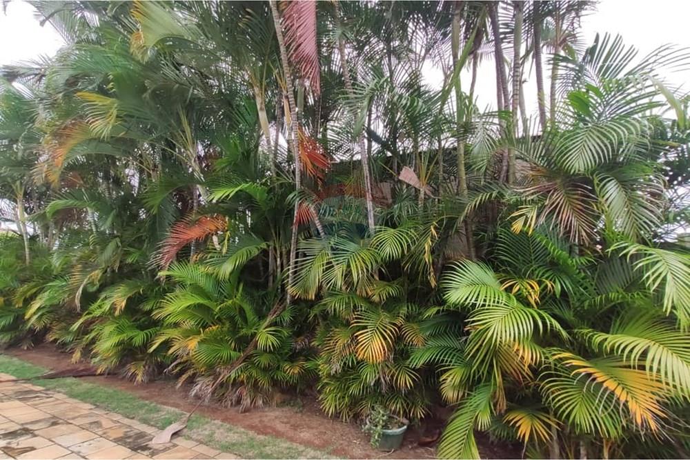 Casa - Alugar - Atibaia , São Paulo - WhatsApp Image 2026-02-19 at 16.34.03.jpeg - 690471100-238