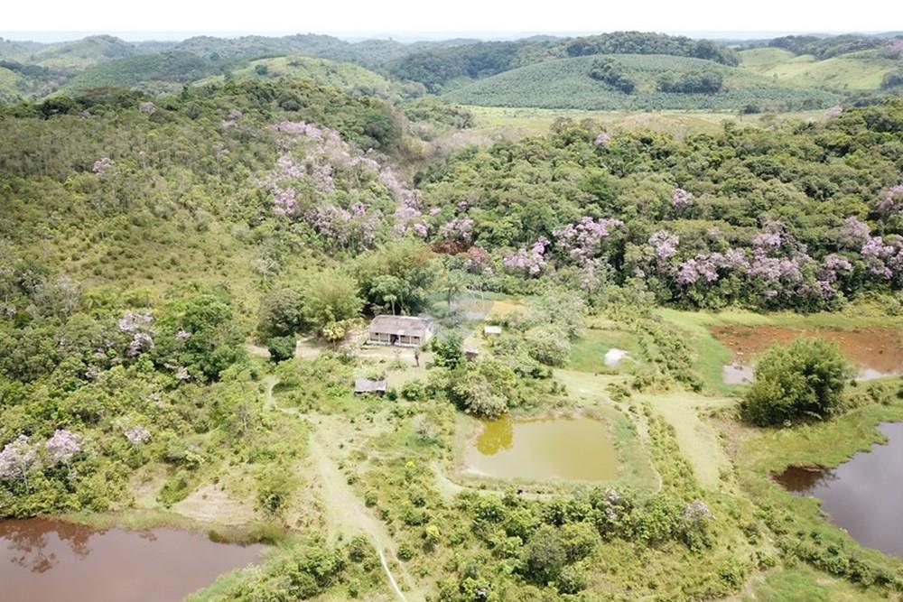 Fazenda - Venda - Registro , São Paulo - DJI_0011.JPG - 690061038-16