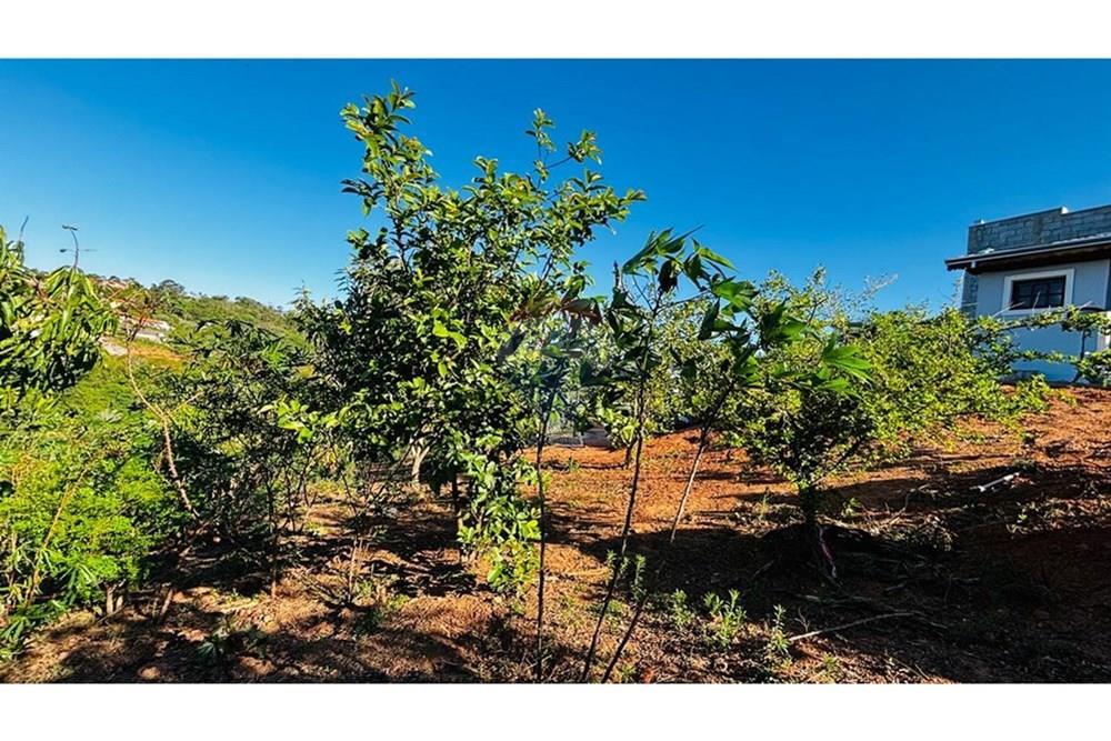 Chácara / Sítio / Fazenda - Venda - Itatiba , São Paulo - WhatsApp Image 2025-10-30 at 15.27.01.jpeg - 690661109-25