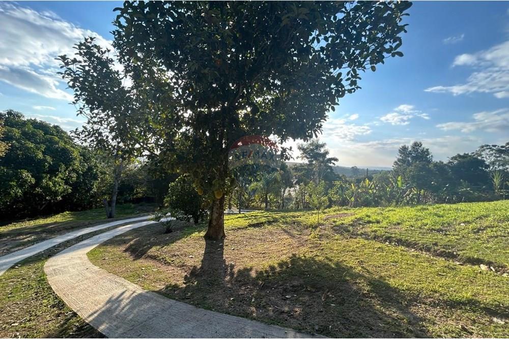 Chácara / Sítio / Fazenda - Venda - Atibaia , São Paulo - WhatsApp Image 2025-07-18 at 14.42.56.jpeg - 690661027-125