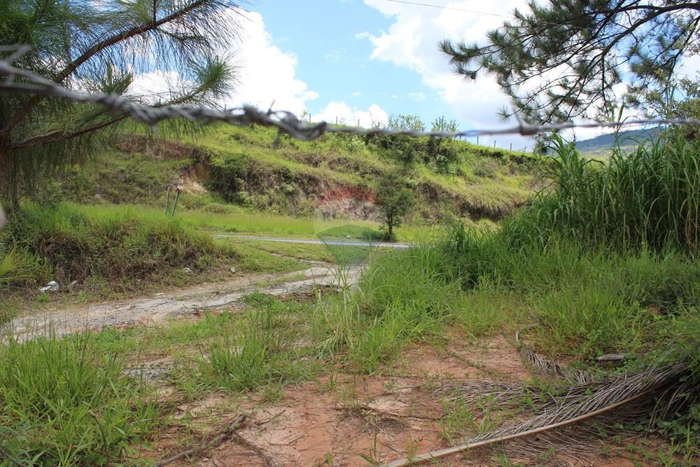 Terreno - Alugar - Vargem , São Paulo - IMG_3361.JPG - 690041127-129