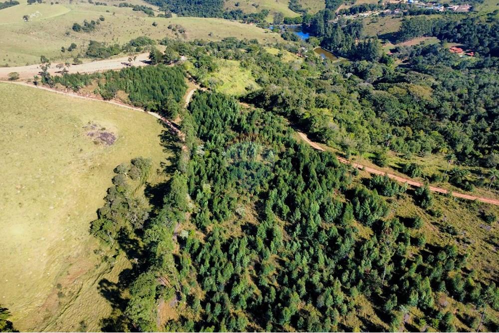 Chácara / Sítio / Fazenda - Venda - Socorro , São Paulo - dji_fly_20250617_095604_234_1750165120127_photo_optimized.jpg - 690291056-39
