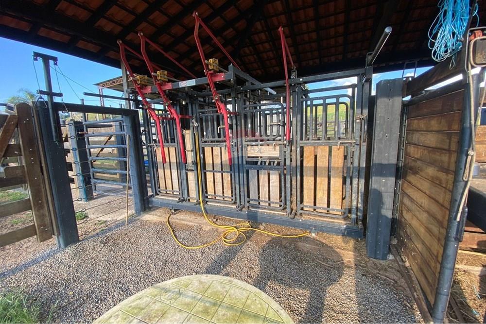 Chácara / Sítio / Fazenda - Venda - Socorro , São Paulo - WhatsApp Image 2026-03-04 at 13.32.29 (1).jpeg - 690041167-12