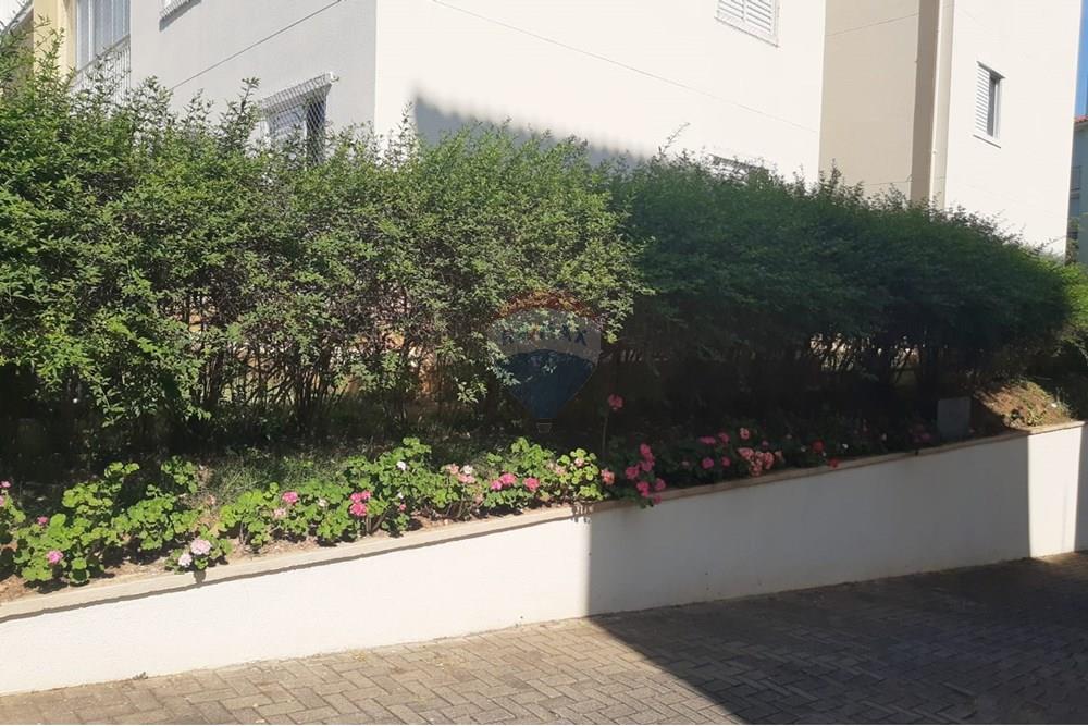 Apartamento - Alugar - Valinhos , São Paulo - bc535f34-d693-4079-b0b6-2fc14c7134f4.jpg - 690851008-568