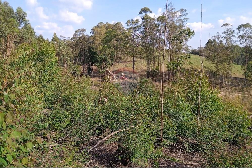 Terreno - Venda - Socorro , São Paulo - lucas.jpeg - 690041008-23