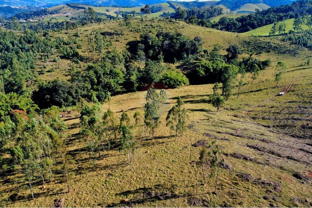 Chácara / Sítio / Fazenda - Venda - Socorro , São Paulo - dji_fly_20250617_095216_222_1750164748025_photo_optimized.jpg - 690291056-39