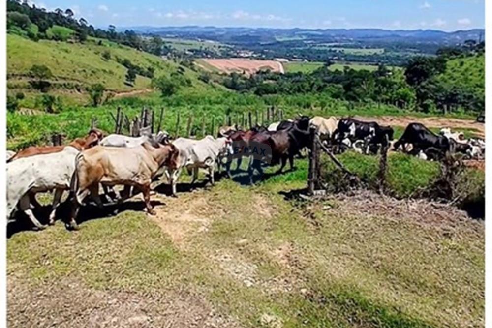 Chácara / Sítio / Fazenda - Venda - Bragança Paulista , São Paulo - Screenshot_20260224_150406_Photos~3.jpg - 690141085-32