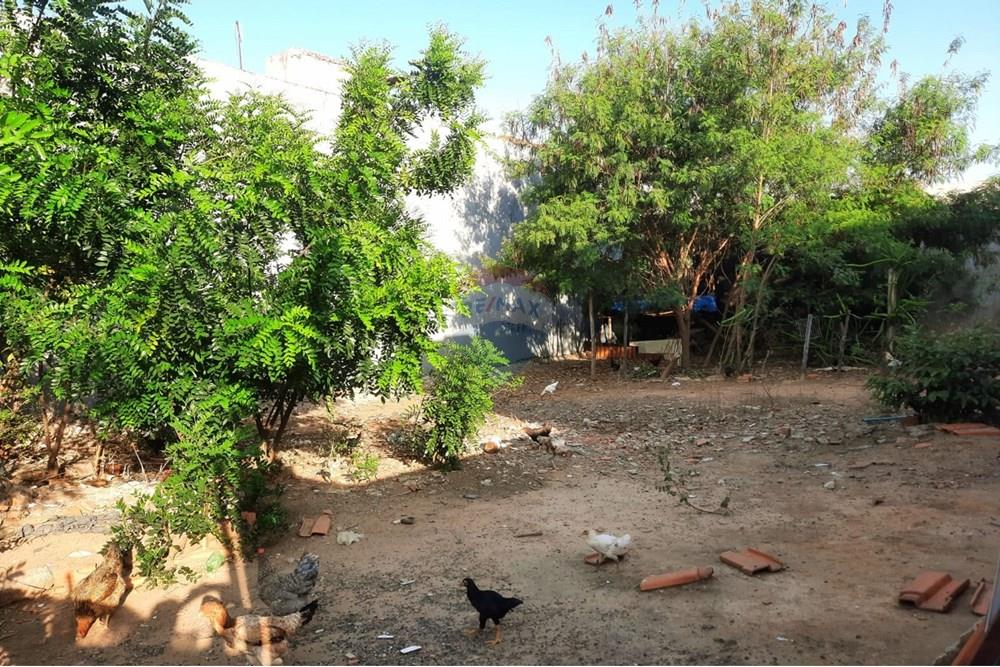 Terreno - Venda - Hortolândia , São Paulo - 5f0cac34-511e-477e-b897-f9e5f3b10533.jpg - 690531057-95