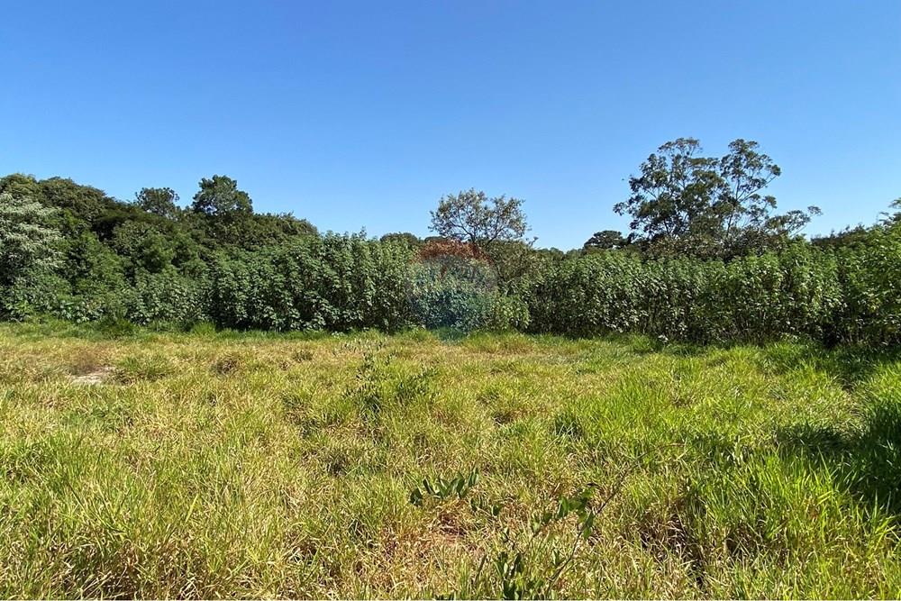 Chácara / Sítio / Fazenda - Venda - Jarinu , São Paulo - IMG_2309.JPEG - 691121003-41