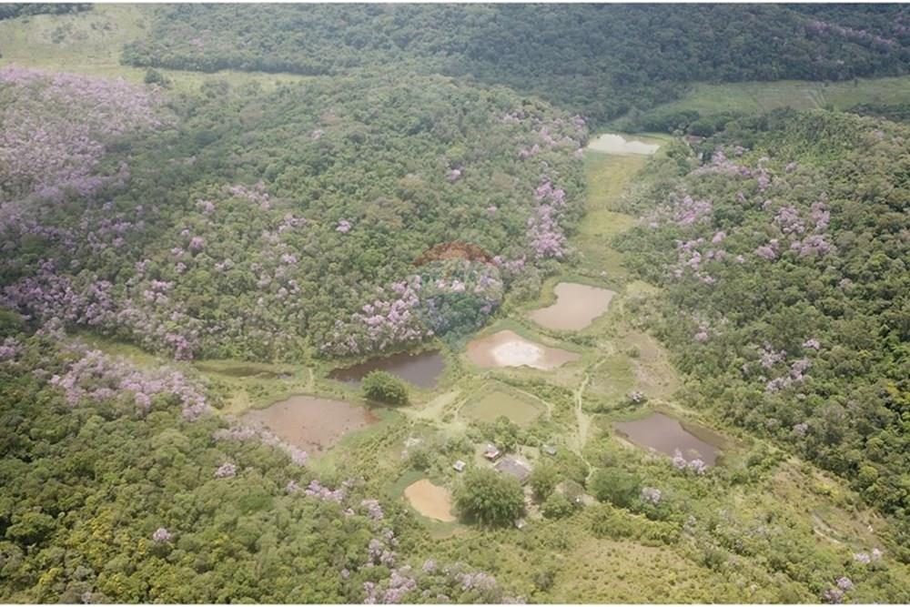 Fazenda - Venda - Registro , São Paulo - DJI_0002.JPG - 690061038-16