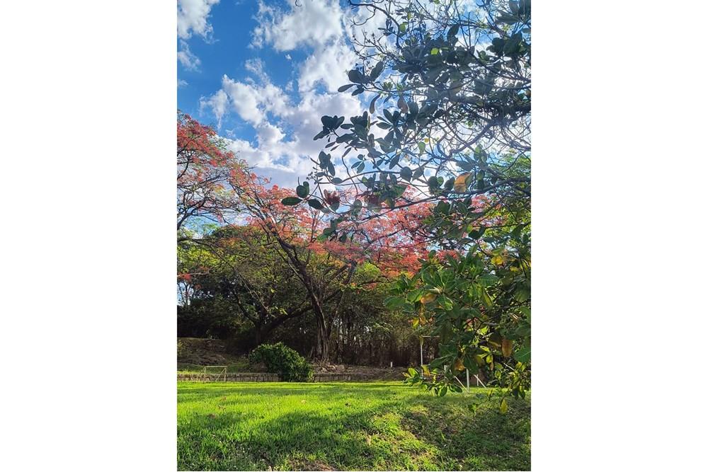 Chácara / Sítio / Fazenda - Venda - Campinas , São Paulo - WhatsApp Image 2025-12-22 at 16.47.45 (3).jpeg - 691181002-33