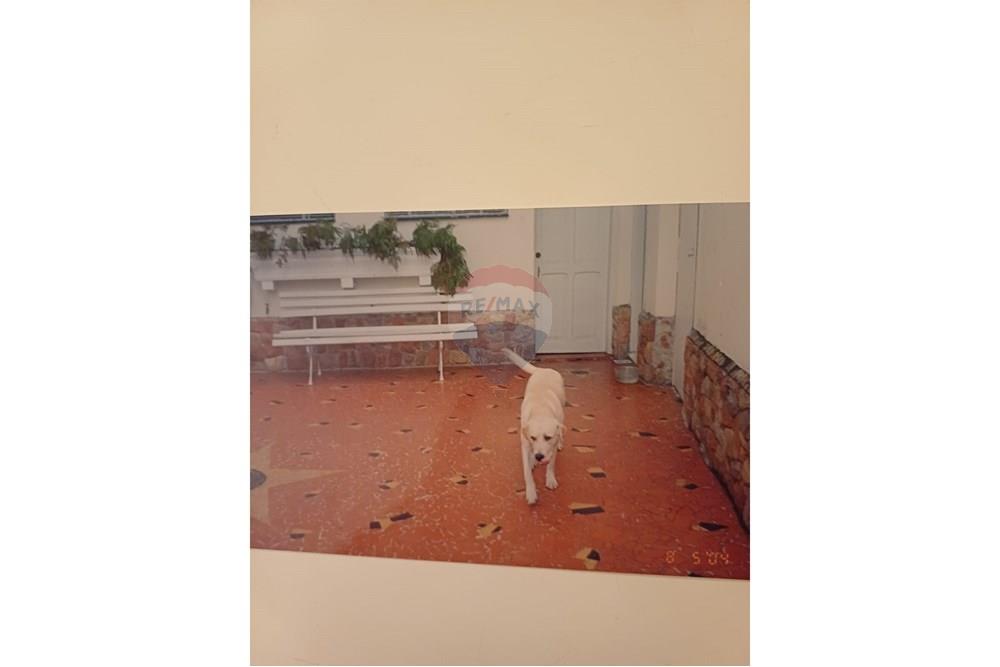 Casa - Venda - São Paulo , São Paulo - WhatsApp Image 2025-12-02 at 22.59.41.jpeg - 690131011-364