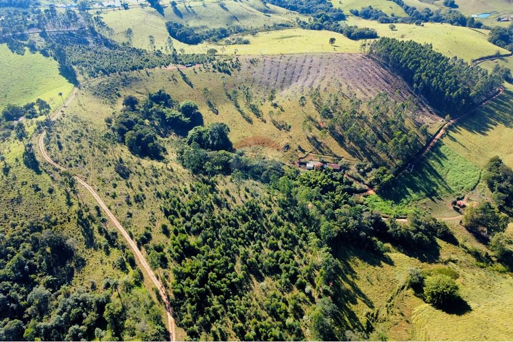 Chácara / Sítio / Fazenda - Venda - Socorro , São Paulo - dji_fly_20250617_095648_238_1750165132357_photo_optimized.jpg - 690291056-39