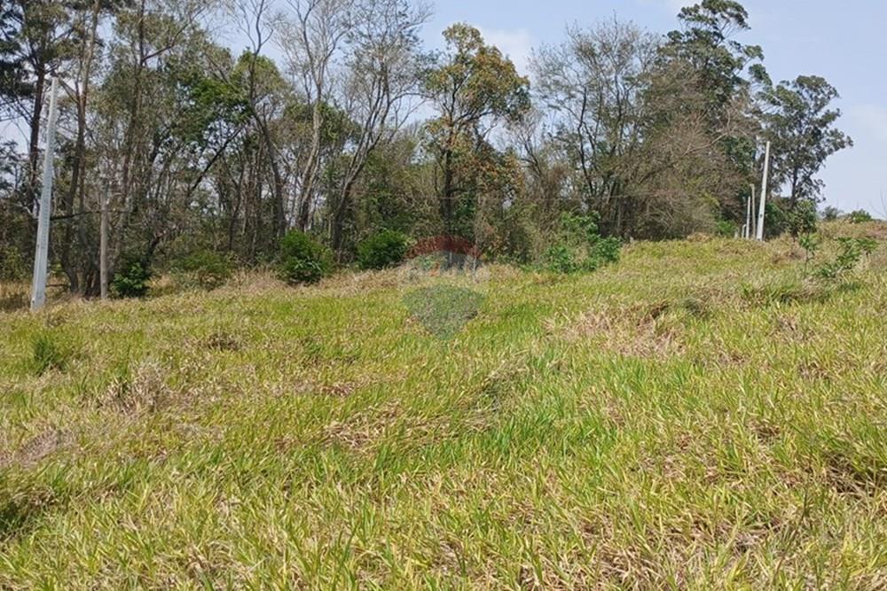 Terreno - Venda - Bragança Paulista , São Paulo - 20251007_111205.jpg - 690141085-37