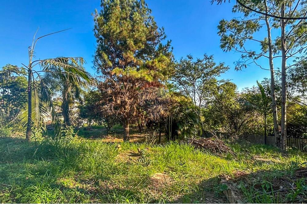 Chácara / Sítio / Fazenda - Venda - Vinhedo , São Paulo - IMG-20250520-WA0039.jpg - 690941034-22