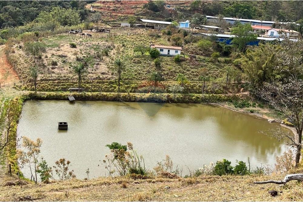 Chácara / Sítio / Fazenda - Venda - Bragança Paulista , São Paulo - GRANJA TANQUE (2).jpg - 690141085-32
