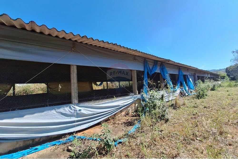 Chácara / Sítio / Fazenda - Venda - Itapira , São Paulo - 20250626_104313.jpg - 690751048-290