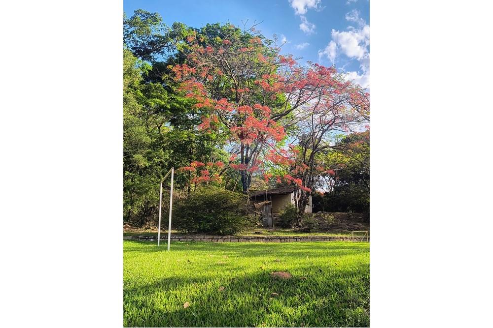 Chácara / Sítio / Fazenda - Venda - Campinas , São Paulo - WhatsApp Image 2025-12-22 at 16.47.47 (5).jpeg - 691181002-33