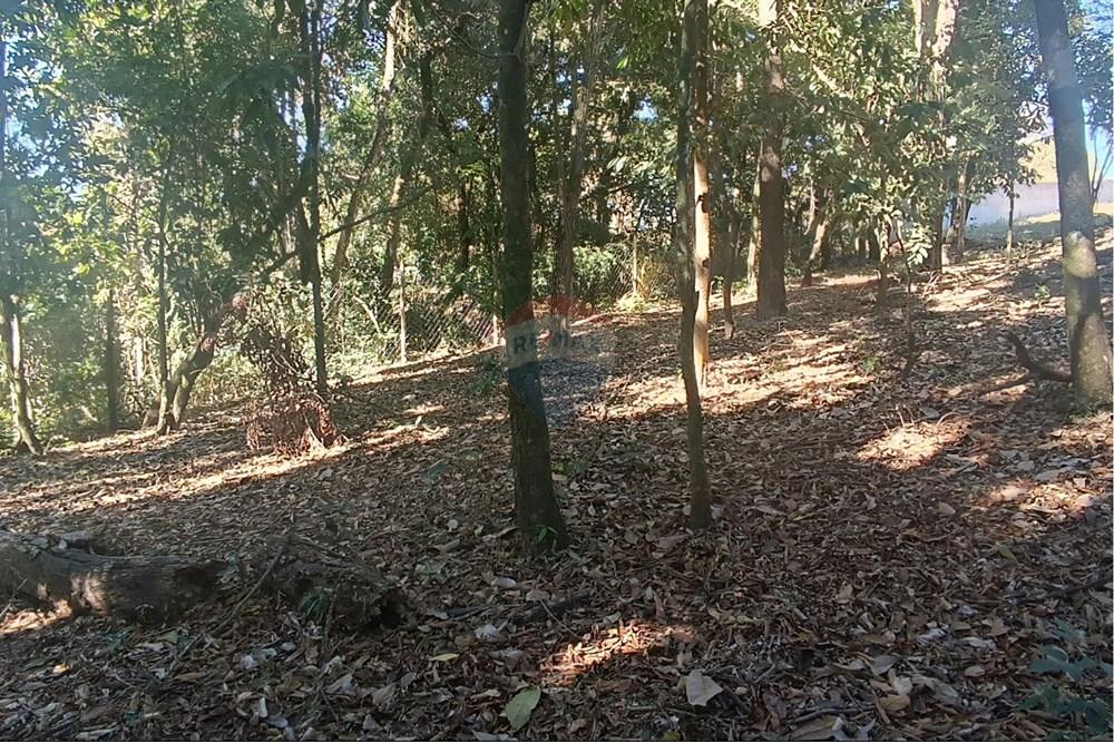 Terreno - Venda - Jaguariúna , São Paulo - 24.JPG - 690671070-9