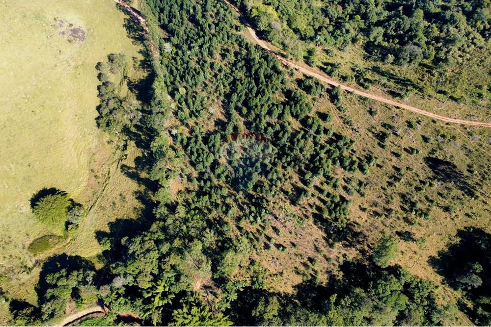 Chácara / Sítio / Fazenda - Venda - Socorro , São Paulo - dji_fly_20250617_095530_229_1750165106907_photo_optimized.jpg - 690291056-39