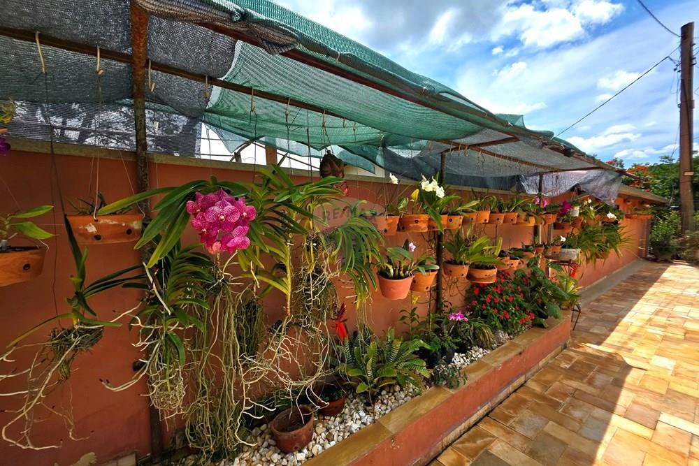 Chácara / Sítio / Fazenda - Venda - Itapira , São Paulo - 20260214_110849.jpg - 690291072-26