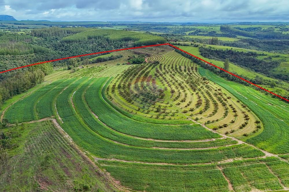 Fazenda - Venda - Analândia , São Paulo - Tratada - Drone-20.jpg - 690691016-305