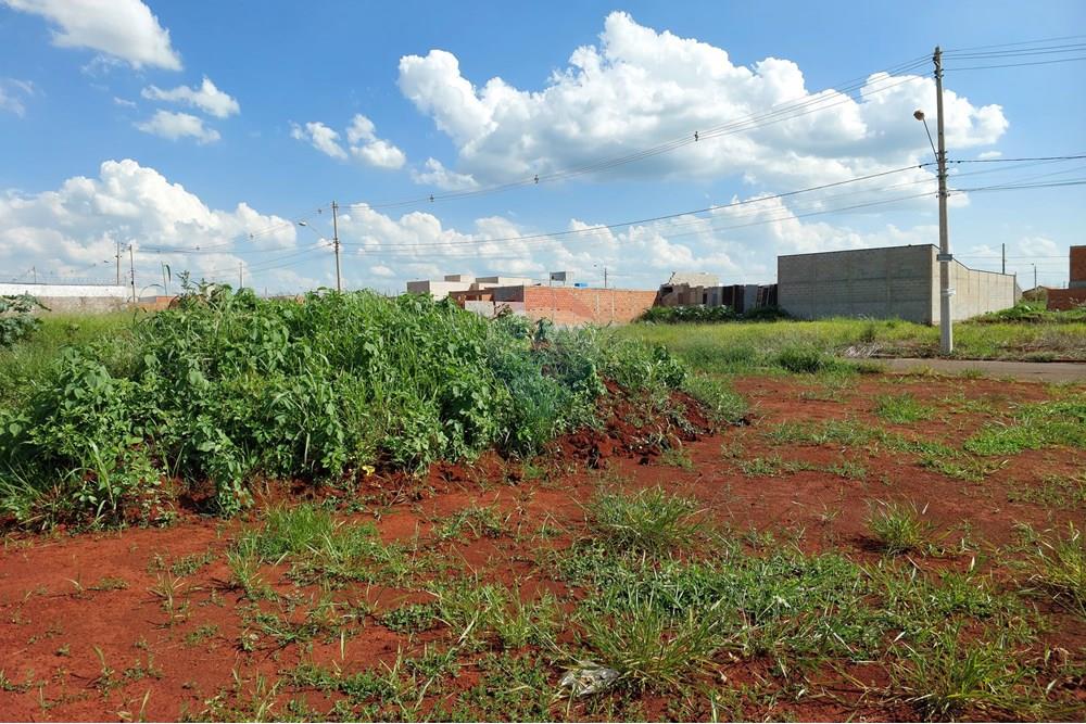 Terreno - Venda - Mogi Guaçu , São Paulo - 20241218_152413.jpg - 690521010-257