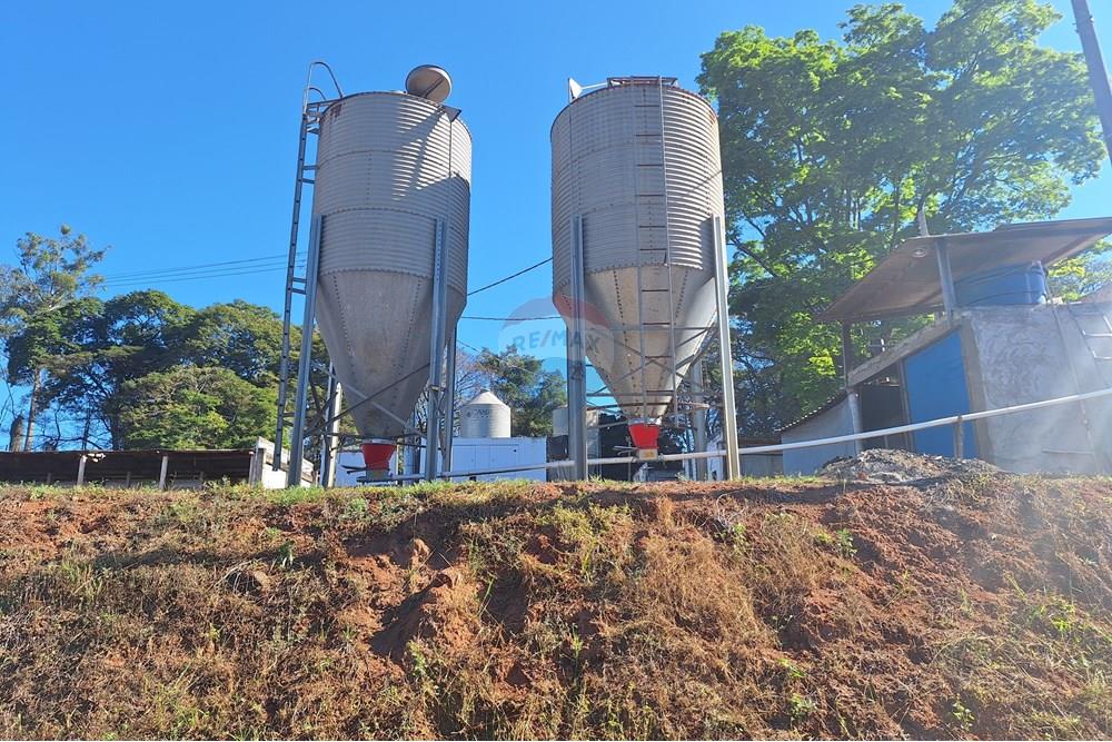 Chácara / Sítio / Fazenda - Venda - Conchal , São Paulo - 20250617_140518(1).jpg - 690751019-291