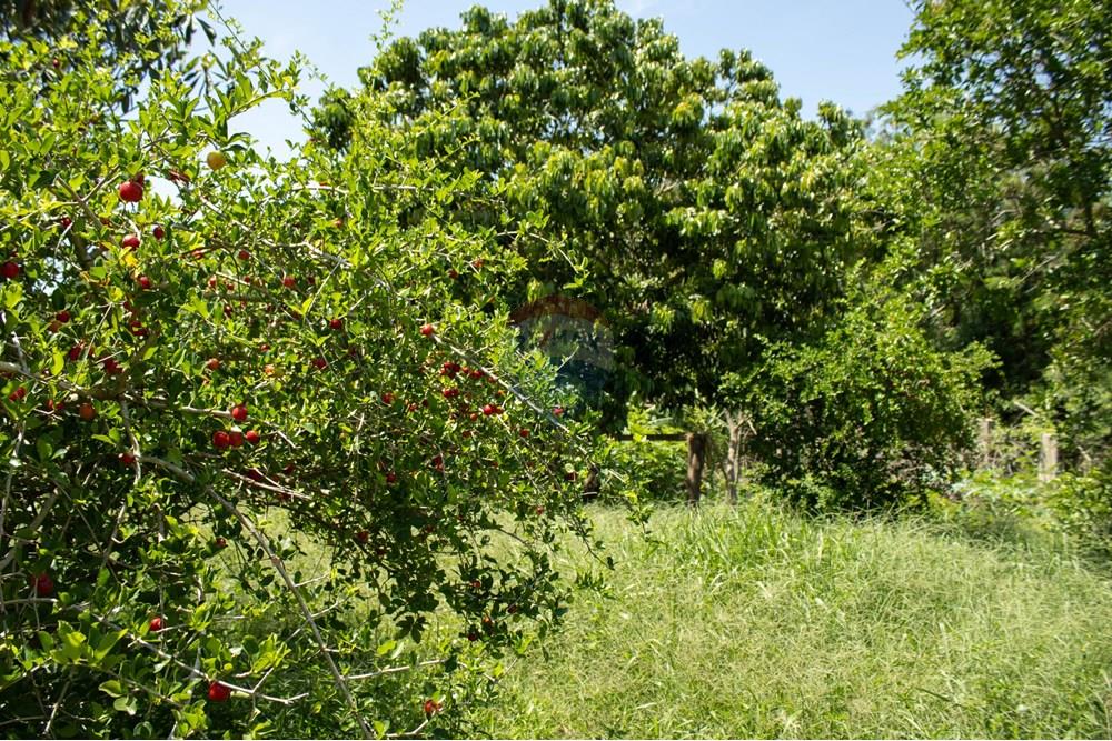 Terreno - Venda - Rio Claro , São Paulo - IMG_0281.jpg - 690811057-57