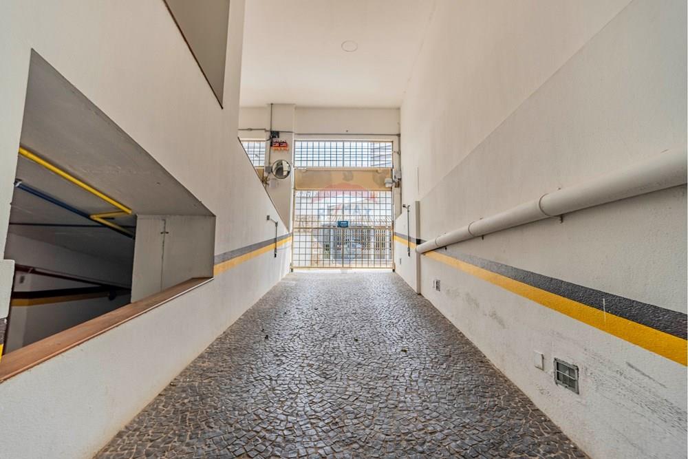 Apartamento - Alugar - Campinas , São Paulo - fotos Luis Morgado --27.jpg - 690681015-149