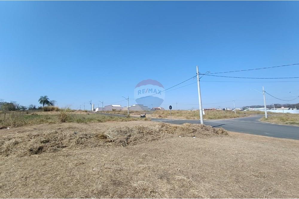 Terreno - Venda - Mogi Guaçu , São Paulo - WhatsApp Image 2025-07-22 at 13.07.02 (3).jpeg - Quintal - 690521005-196