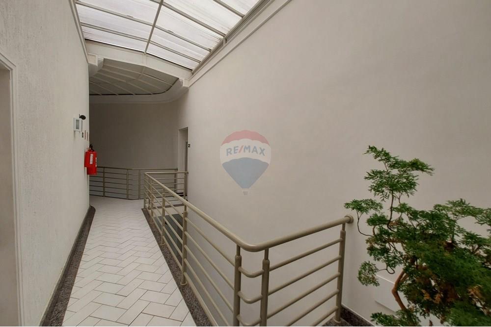 Cj. Comercial/ Sala - Alugar - Campinas , São Paulo - 20251113_100354.jpg - 690181001-437