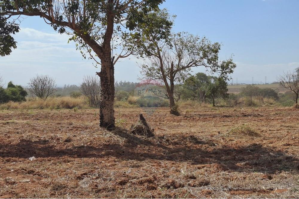 Terreno - Venda - Mogi Mirim , São Paulo - 20250808_120422.jpg - 690681090-43