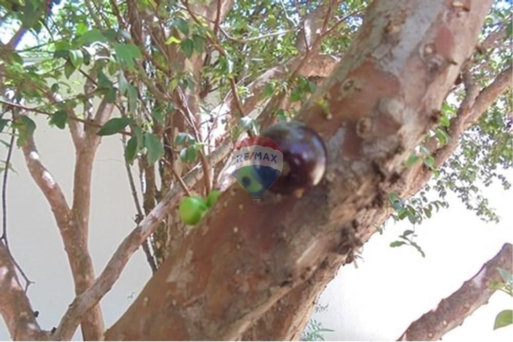 Casa - Alugar - Americana , São Paulo - c63.jpg - 691071028-10