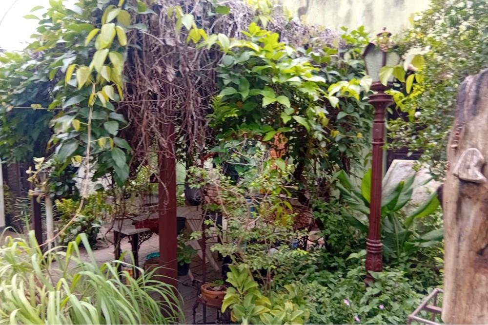 Chácara / Sítio / Fazenda - Venda - Campinas , São Paulo - 5 piscina.jpeg - 690331038-16