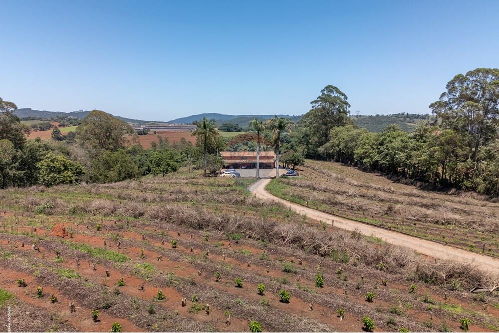 Chácara / Sítio / Fazenda - Venda - Morungaba , São Paulo - TKD-9534.jpg - 690661002-89