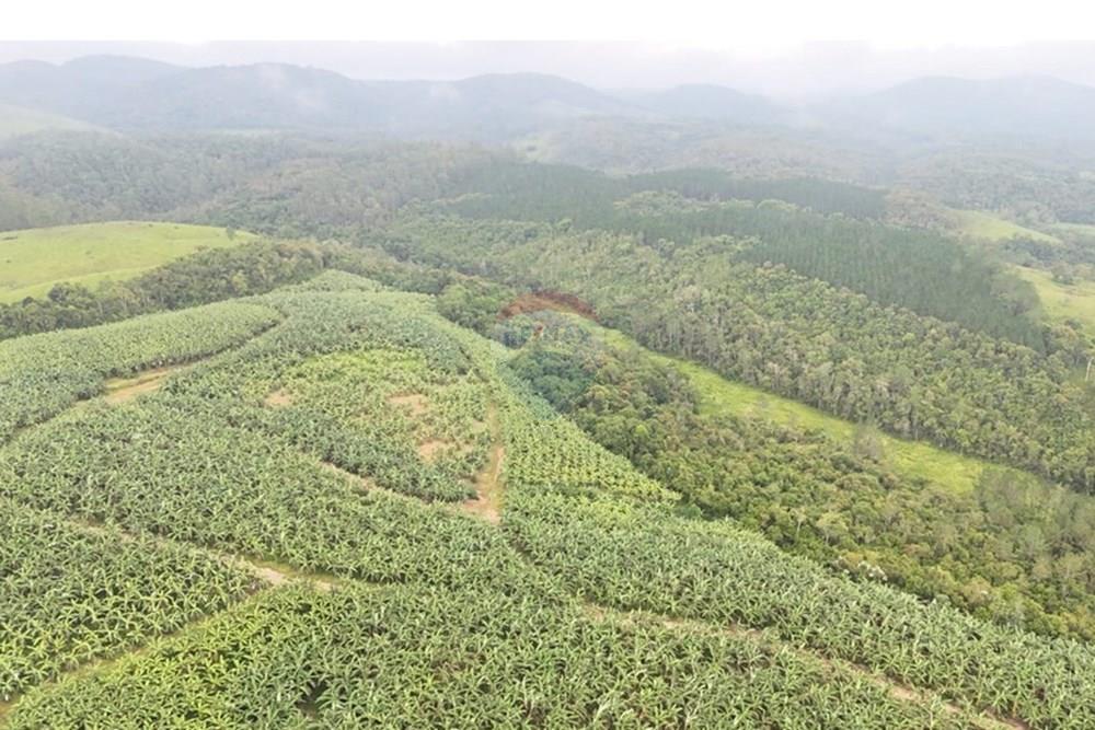 Fazenda - Venda - Jacupiranga , São Paulo - WhatsApp Image 2026-03-02 at 20.10.28.jpeg - 690061037-12