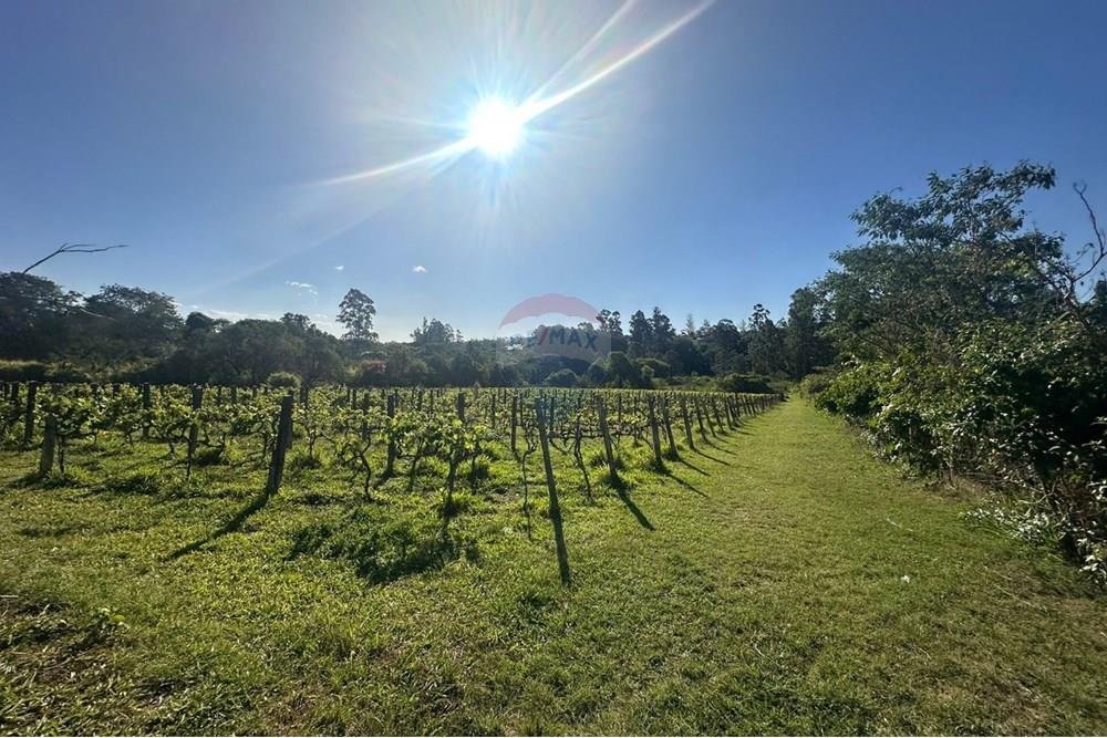 Chácara / Sítio / Fazenda - Venda - Jundiaí , São Paulo - WhatsApp Image 2025-10-23 at 13.29.03.jpeg - 690801041-183