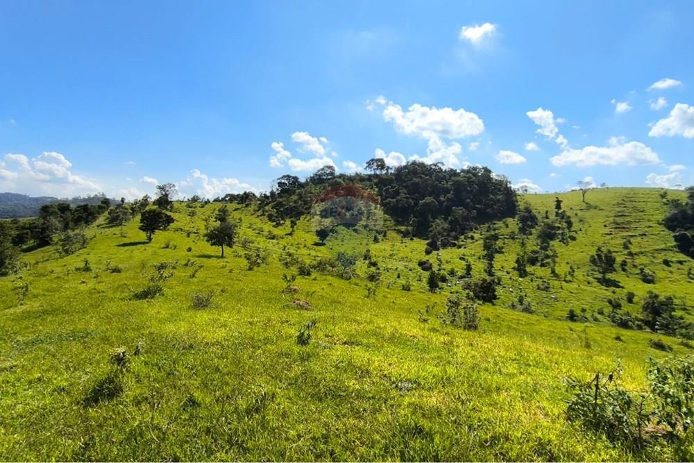 Chácara / Sítio / Fazenda - Venda - Morungaba , São Paulo - WhatsApp Image 2026-03-05 at 17.26.21 (2).jpeg - 691131002-3