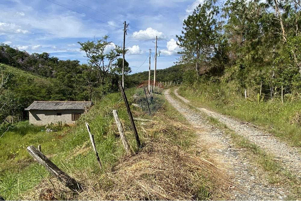 Fazenda - Venda - Jacupiranga , São Paulo - IMG_6257.jpeg - 690061038-17