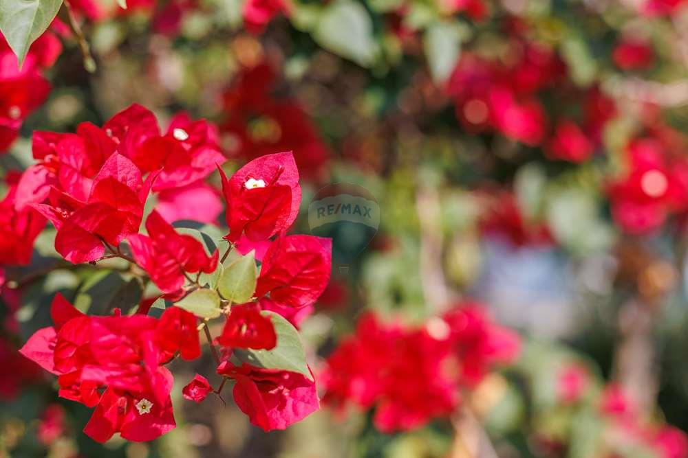 Chácara / Sítio / Fazenda - Venda - Vinhedo , São Paulo - TakeDroneBr-40854.jpg - 690941021-49