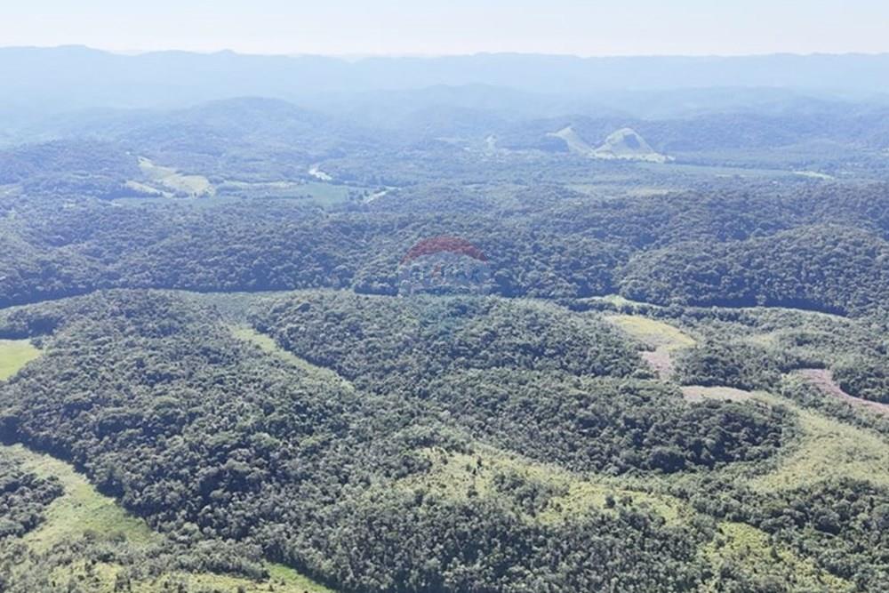 Fazenda - Venda - Miracatu , São Paulo - WhatsApp Image 2025-05-20 at 13.34.39.jpeg - 690061038-9