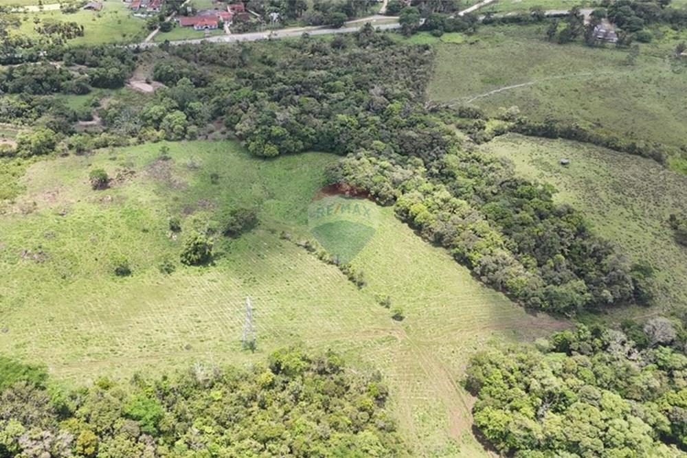 Fazenda - Venda - Pariquera-Açu , São Paulo - WhatsApp Image 2026-03-18 at 16.42.15.jpeg - 690061038-24