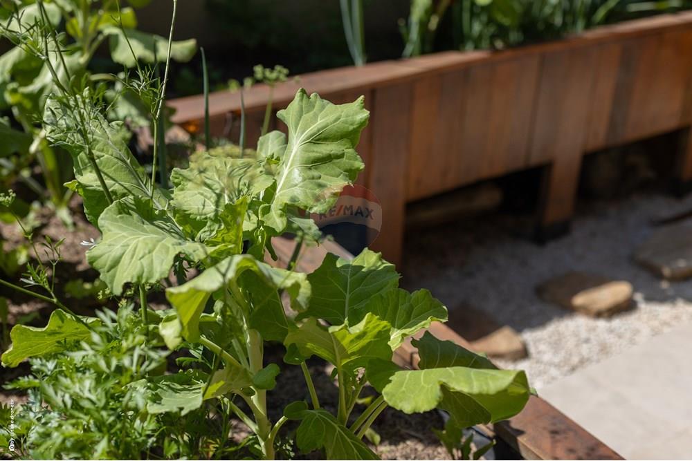 Casa de Condomínio - Venda - Vinhedo , São Paulo - TKD-9926.jpg - 690941025-167