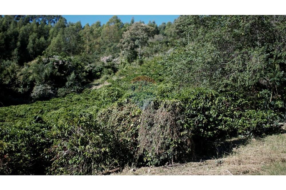 Chácara / Sítio / Fazenda - Venda - Serra Negra , São Paulo - _JEA8934.JPG - 690291056-34